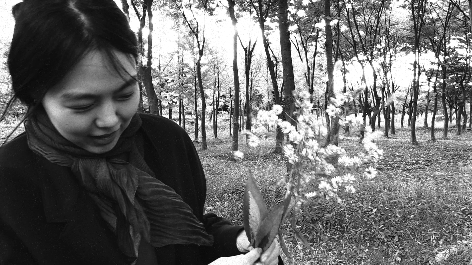 小說家電影 The Novelist’s Film