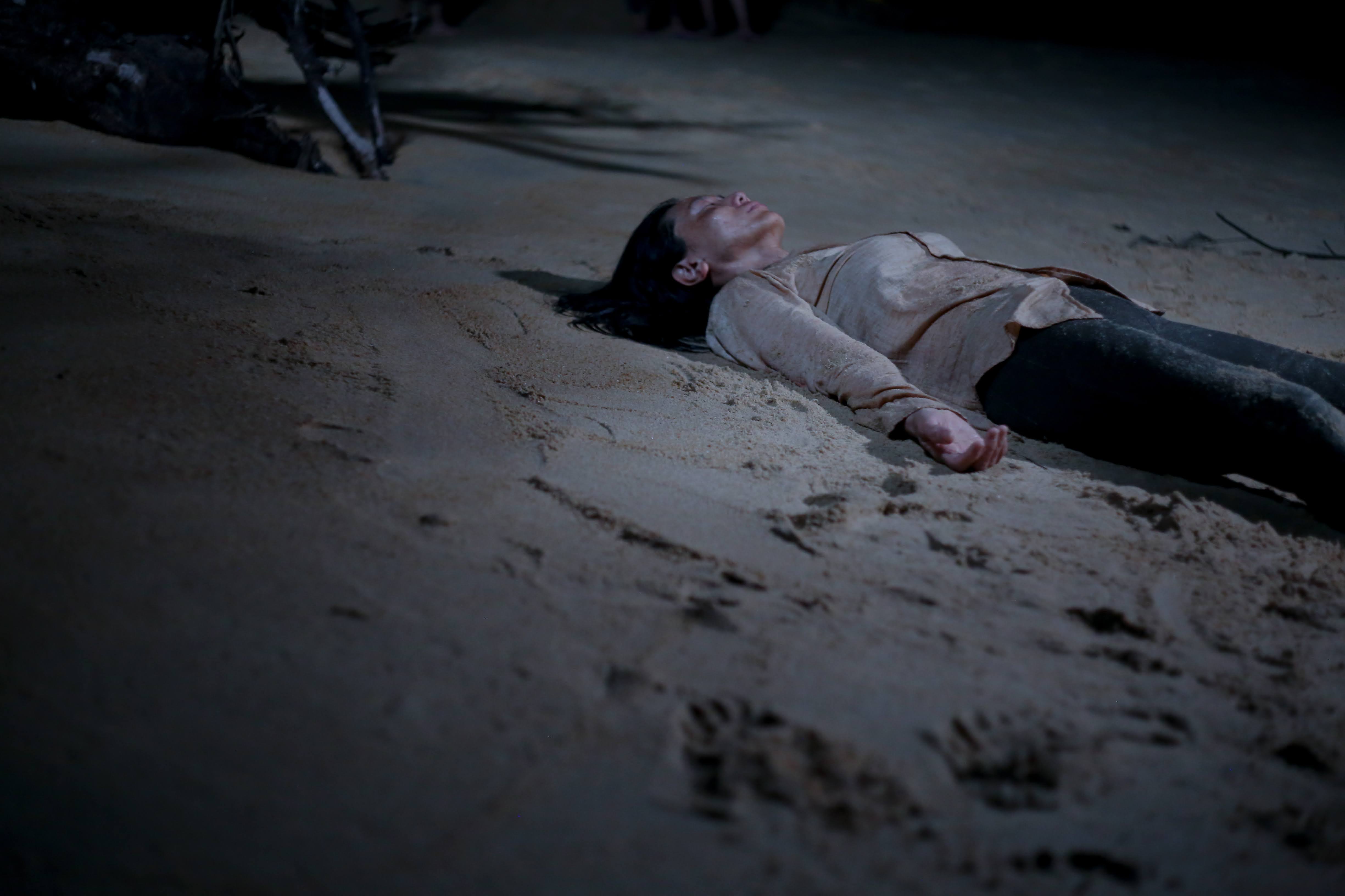 野蠻人入侵 Barbarian Invasion