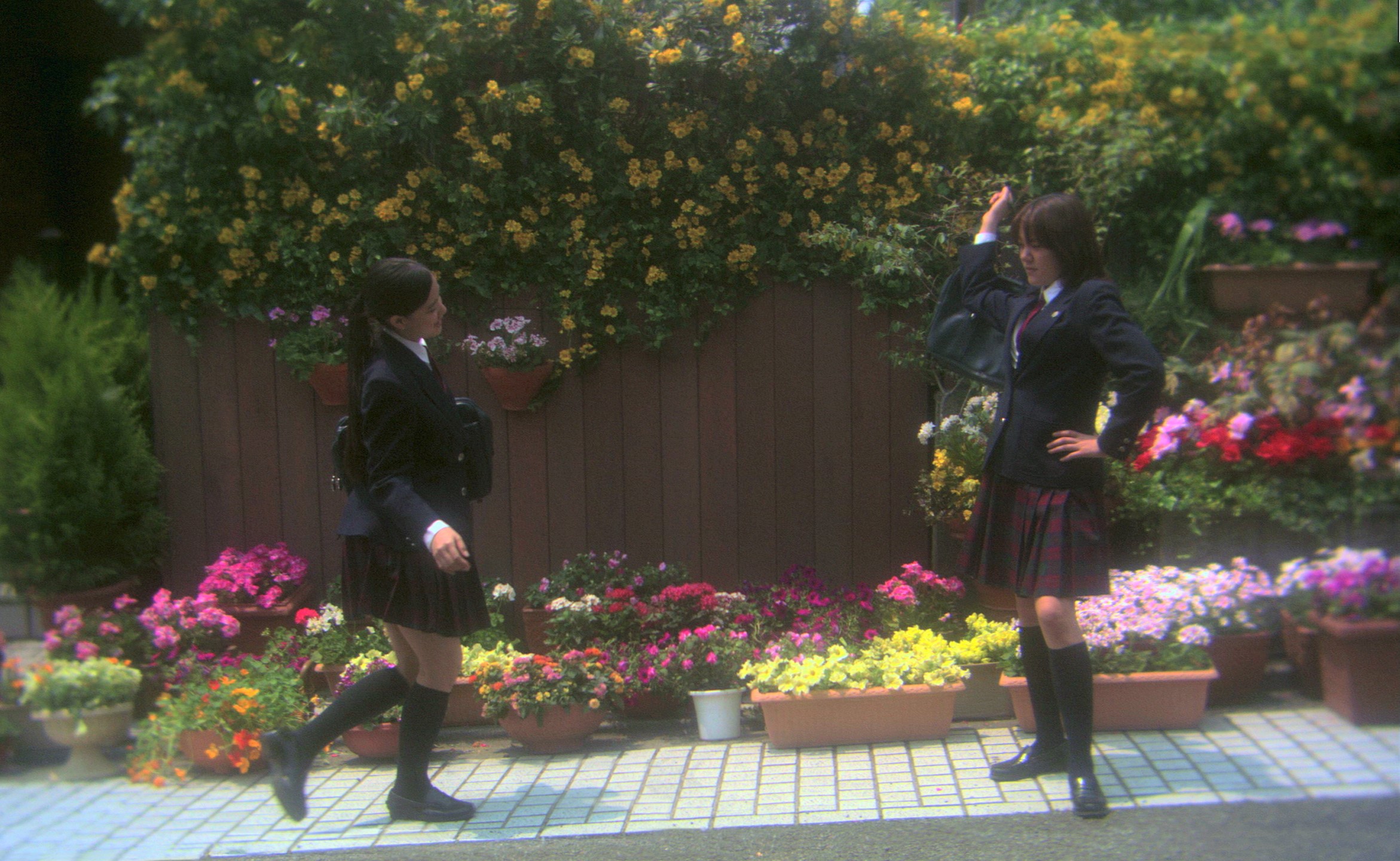 花與愛麗絲：數位修復版 Hana and Alice