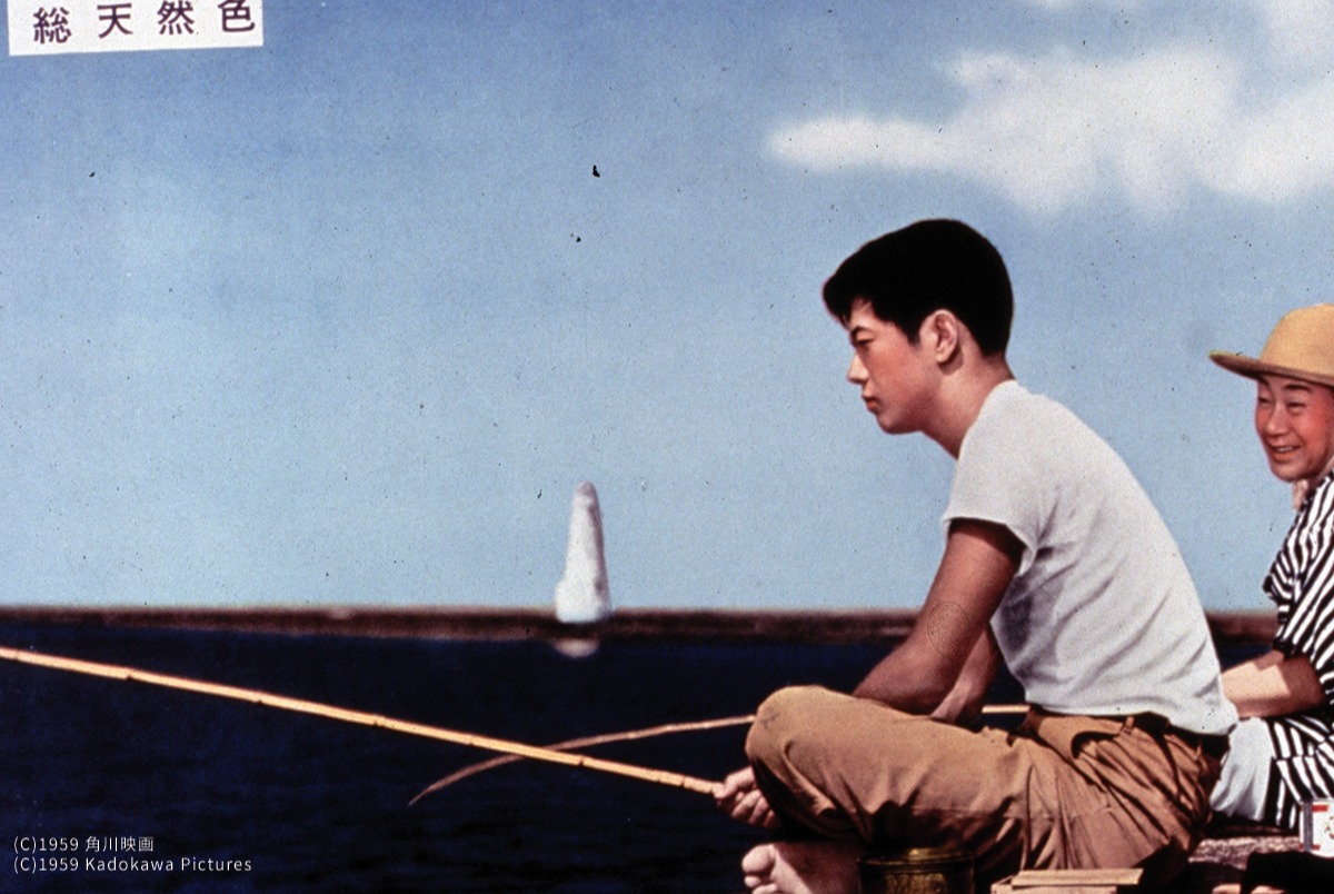 浮草 Floating Weeds