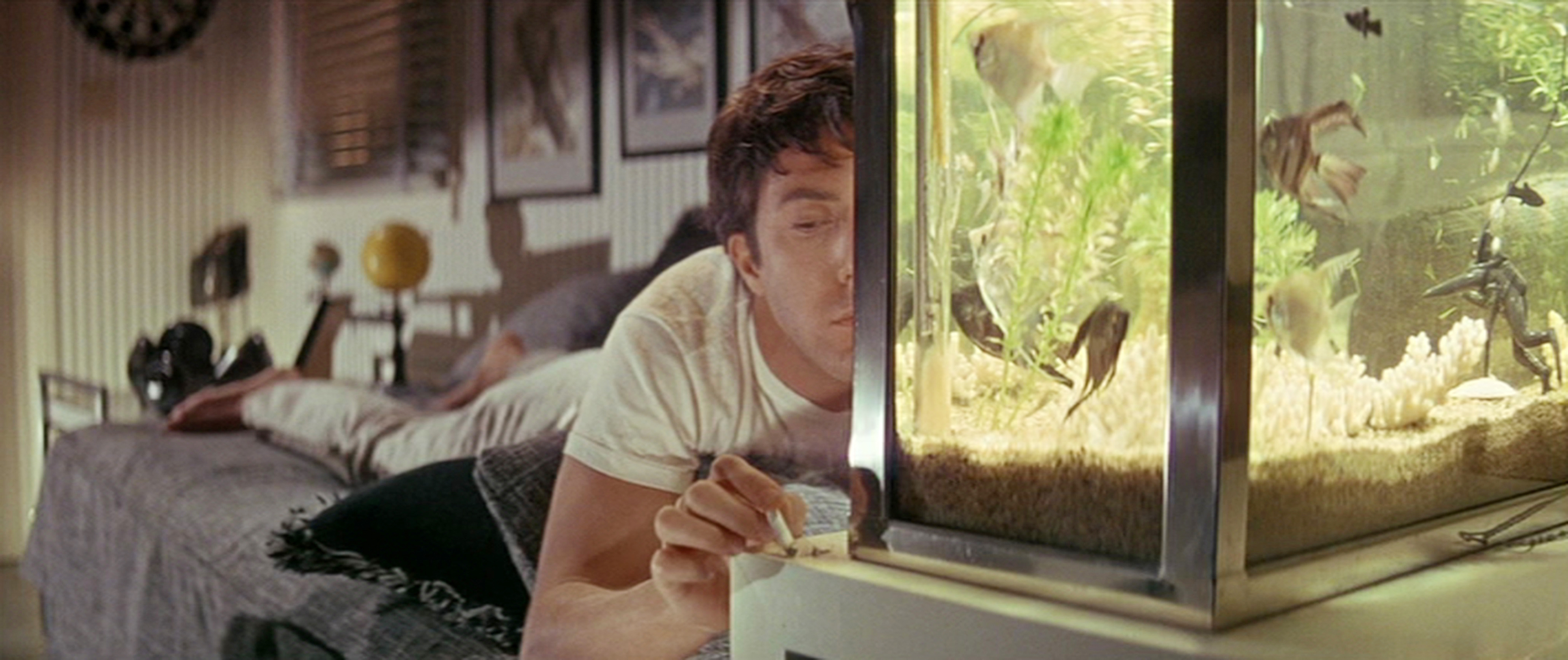 畢業生 The Graduate-COPY
