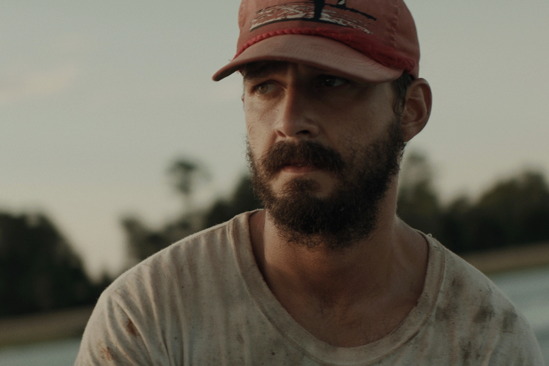 花生醬獵鷹的願望 The Peanut Butter Falcon