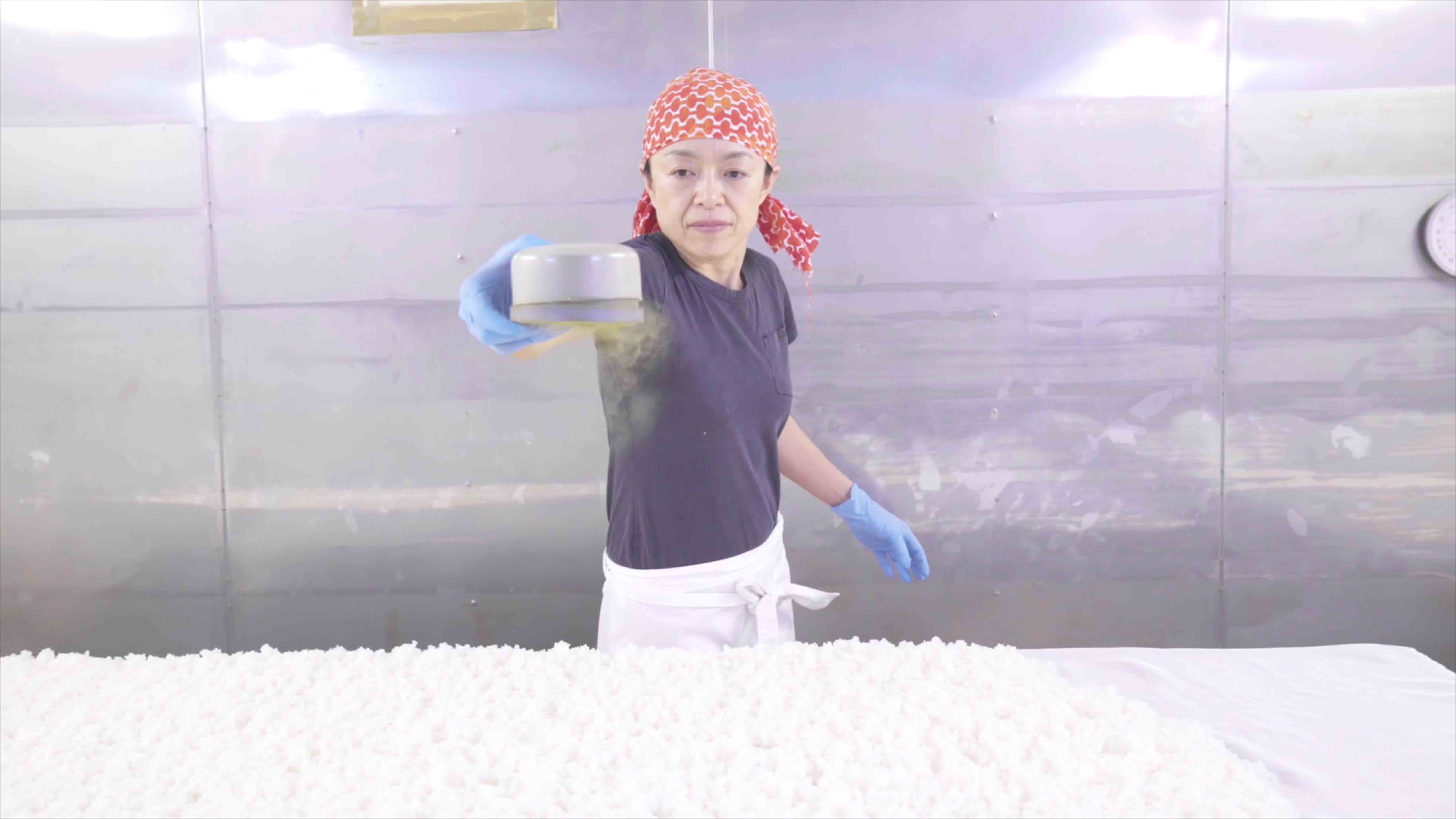 乾杯！戀上日本酒的女子 Kampai Sake Sisters