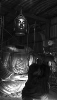 大佛 The Great Buddha