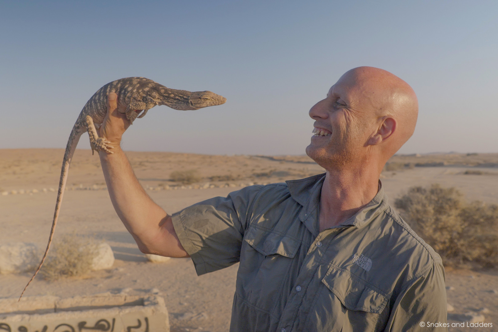 救蛇繩梯 +甲蟲守護者  +雙重母親喬伊