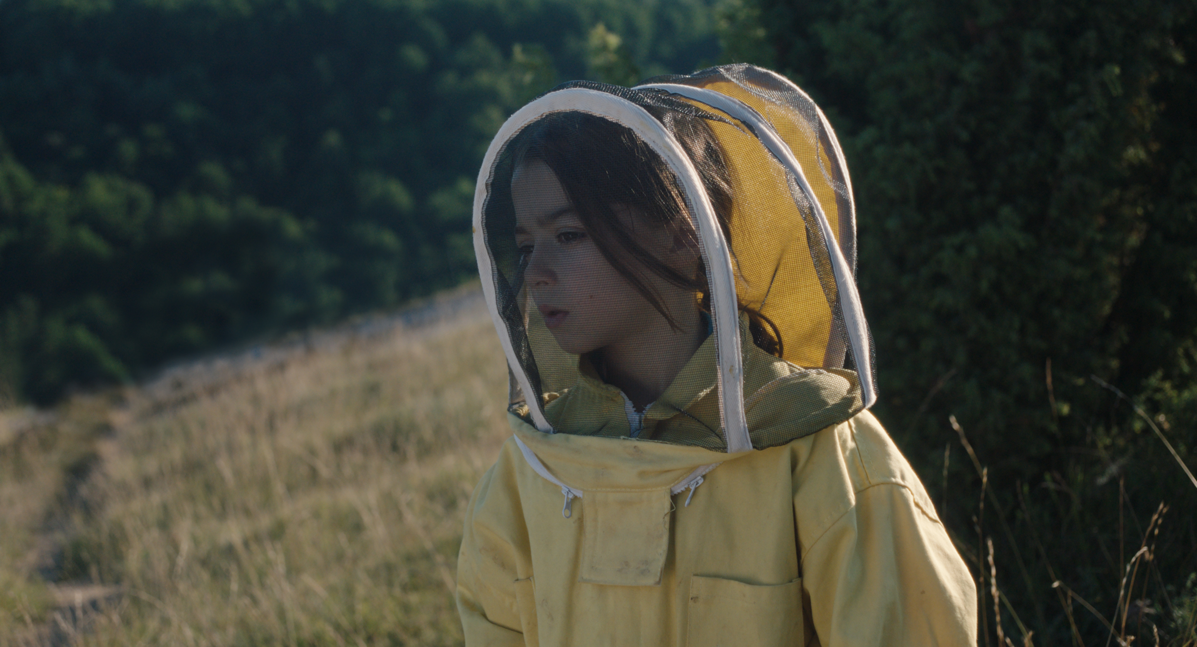 兩萬種蜜蜂 20,000 Species of Bees