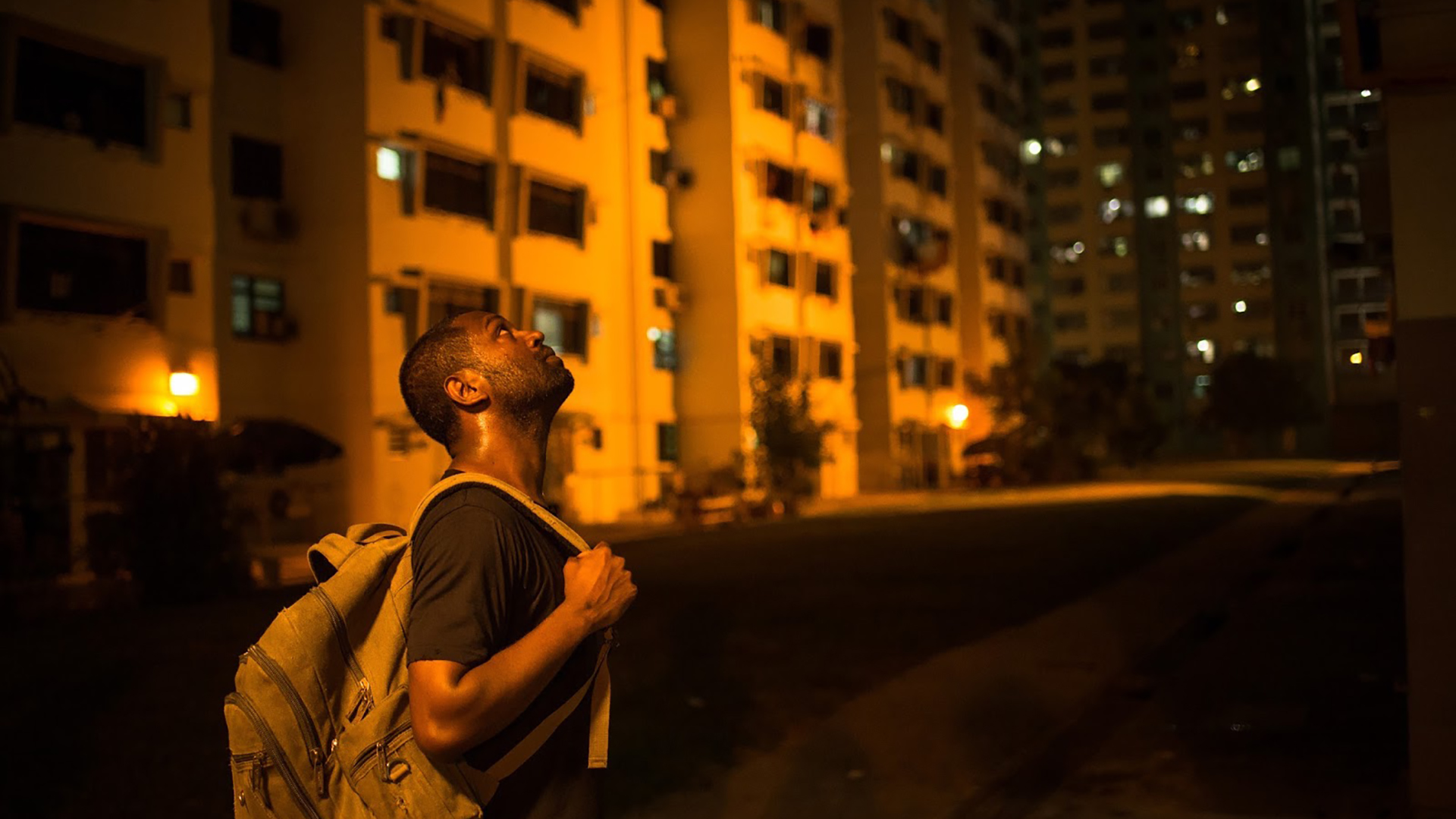 黃鳥 A Yellow Bird