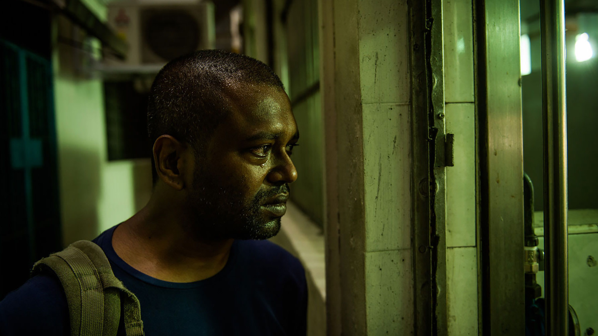 黃鳥 A Yellow Bird