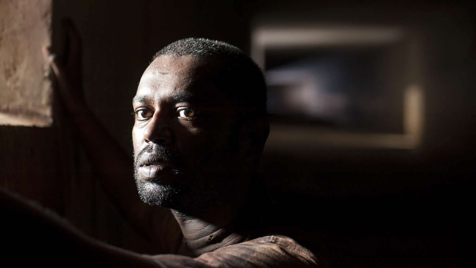 黃鳥 A Yellow Bird