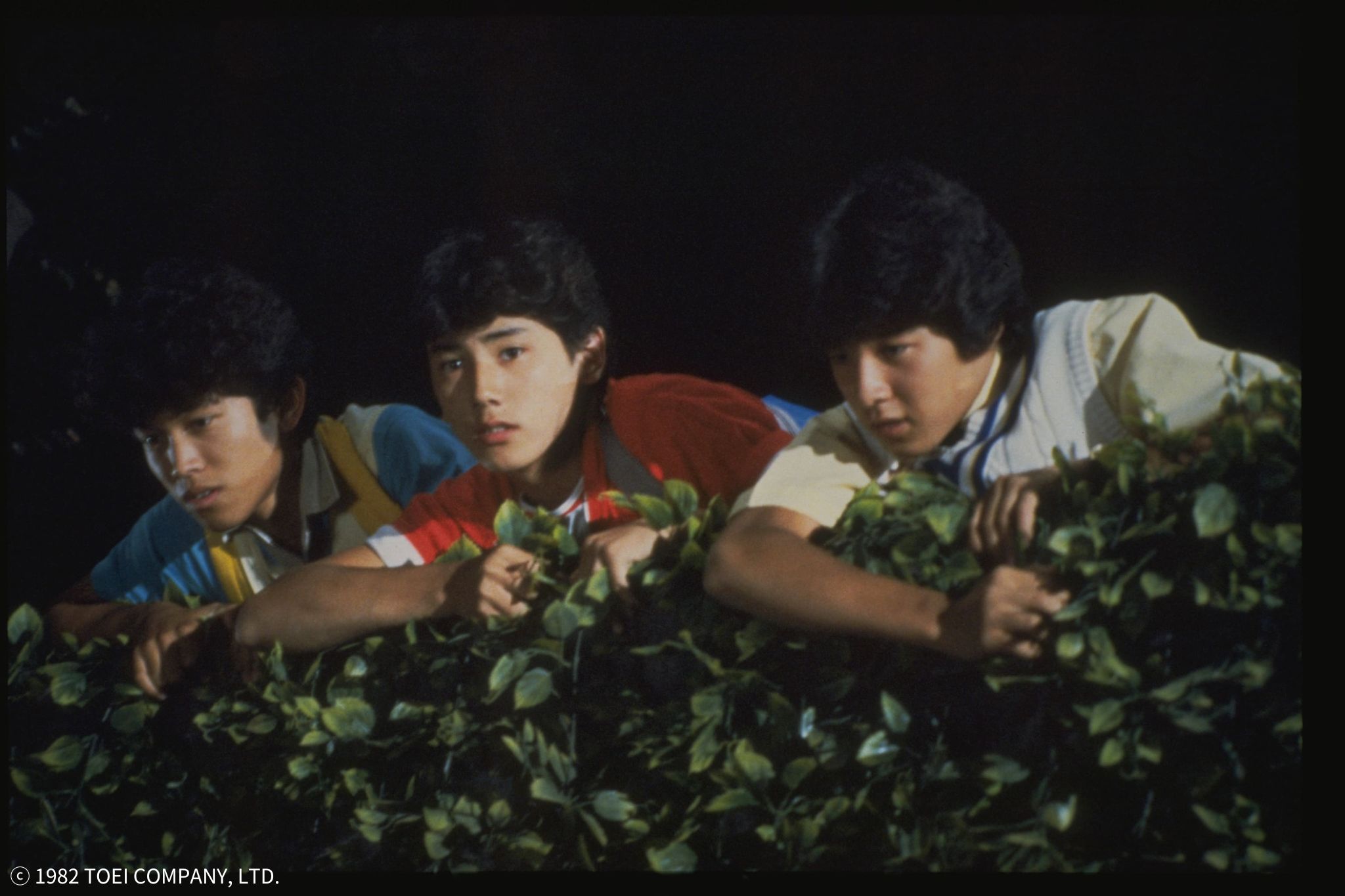 澀柿隊：男孩與女孩 Come on Girls