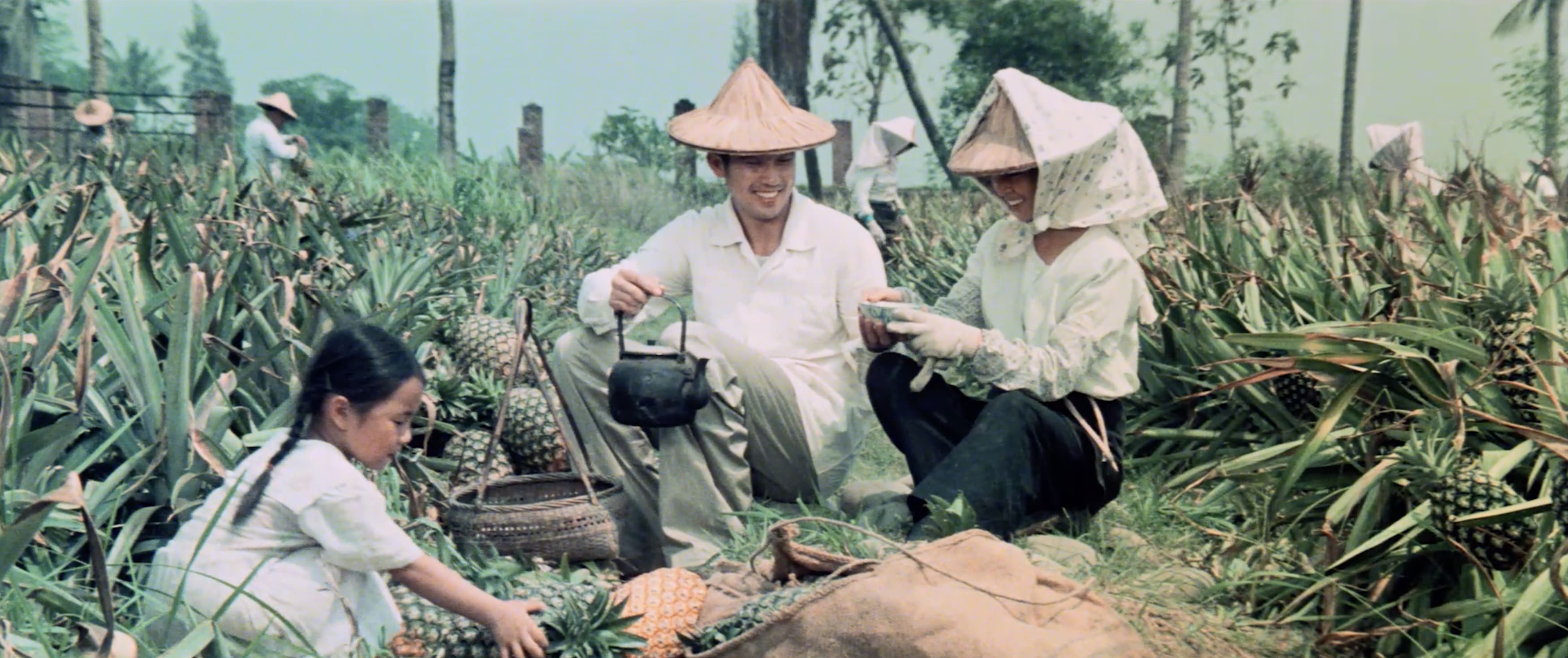 原鄉人 數位修復版 My Native Land