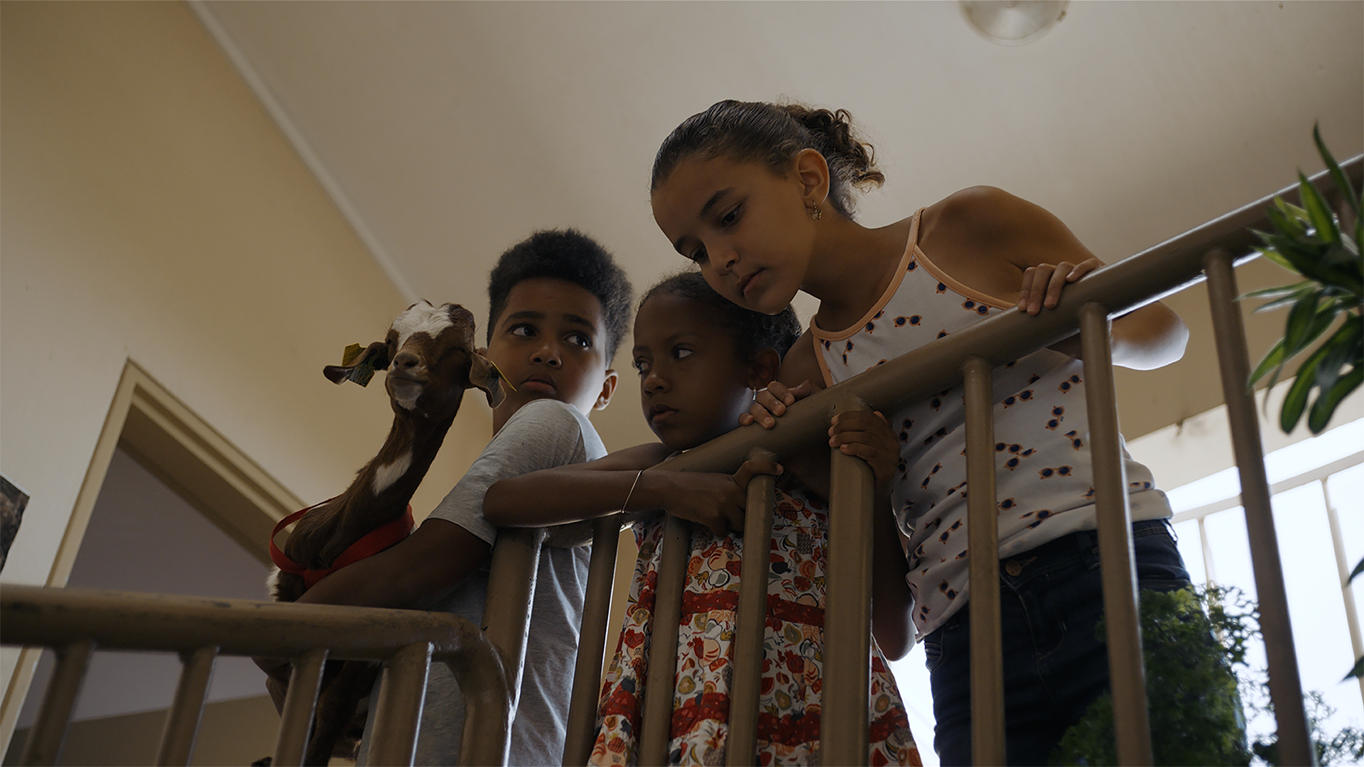 KFF International Short Film Competition: International Shorts E