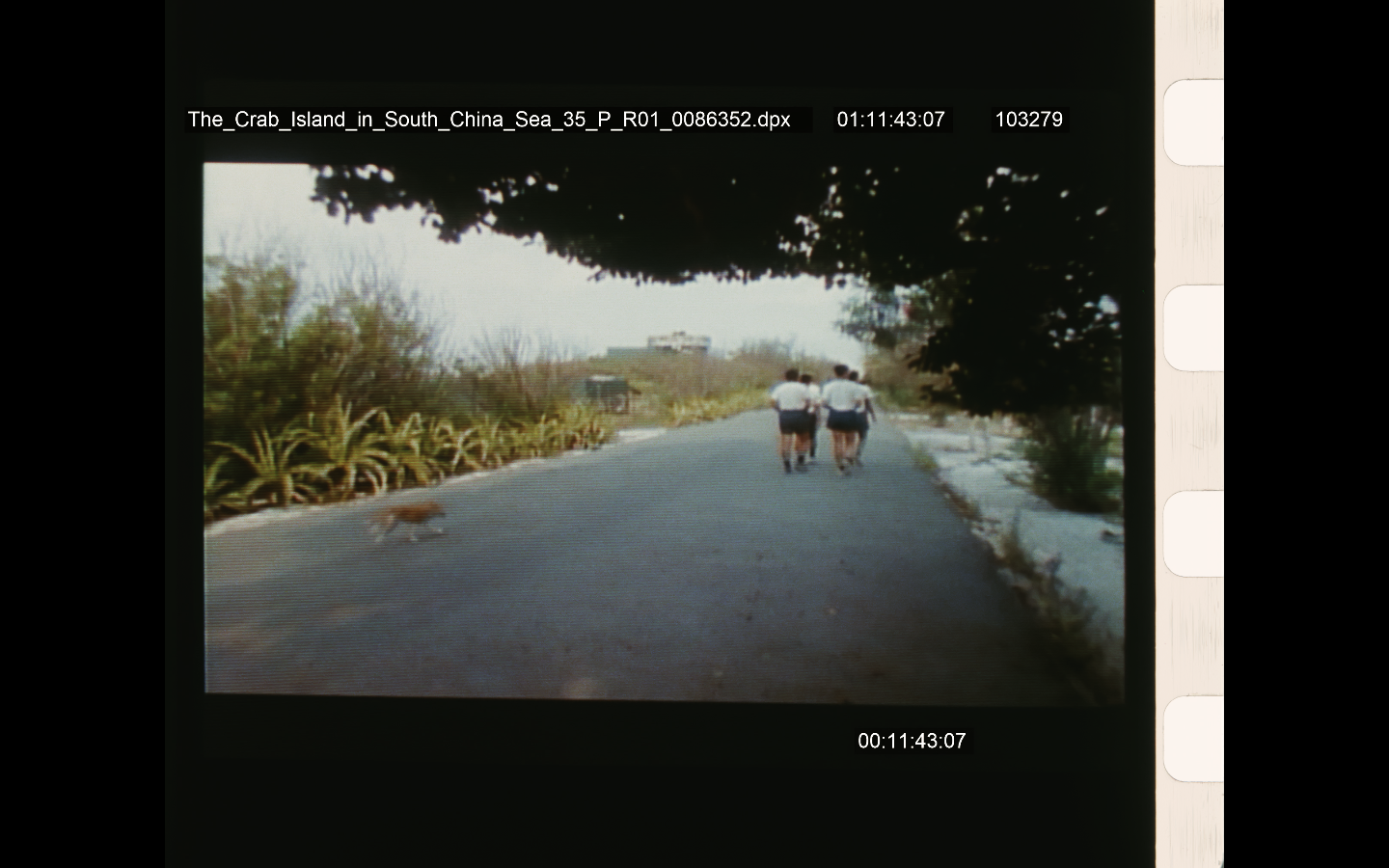 流離島影#1（南之島之男之島... Tong-Sha, an Isle Like a Crab+噤聲三角Silent Delta+ 03:04）