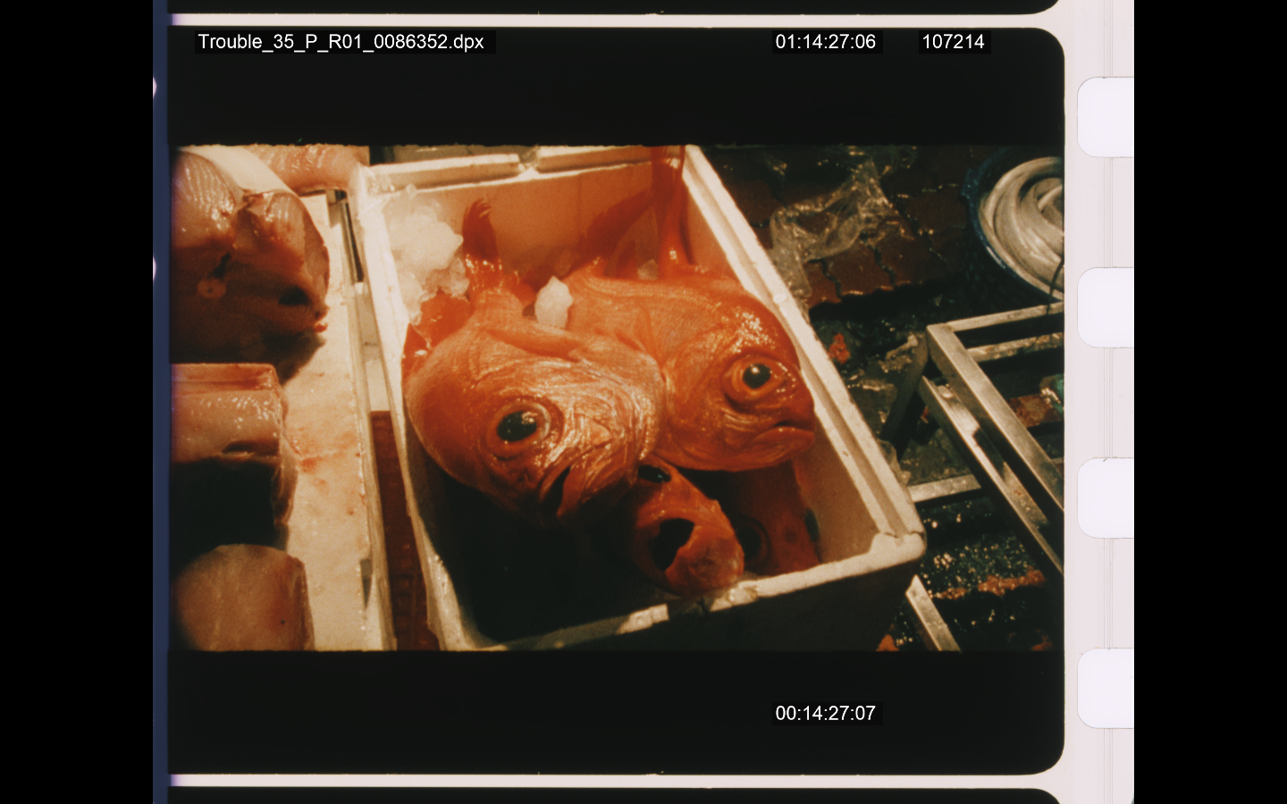 流離島影#2（鄉愁對話錄Turtle Island: Nostalgic Voices+基隆嶼的青春紀事Trouble+清文不在家Libangbang: Ching-Wen's Not Home+西嶼坪West Island）