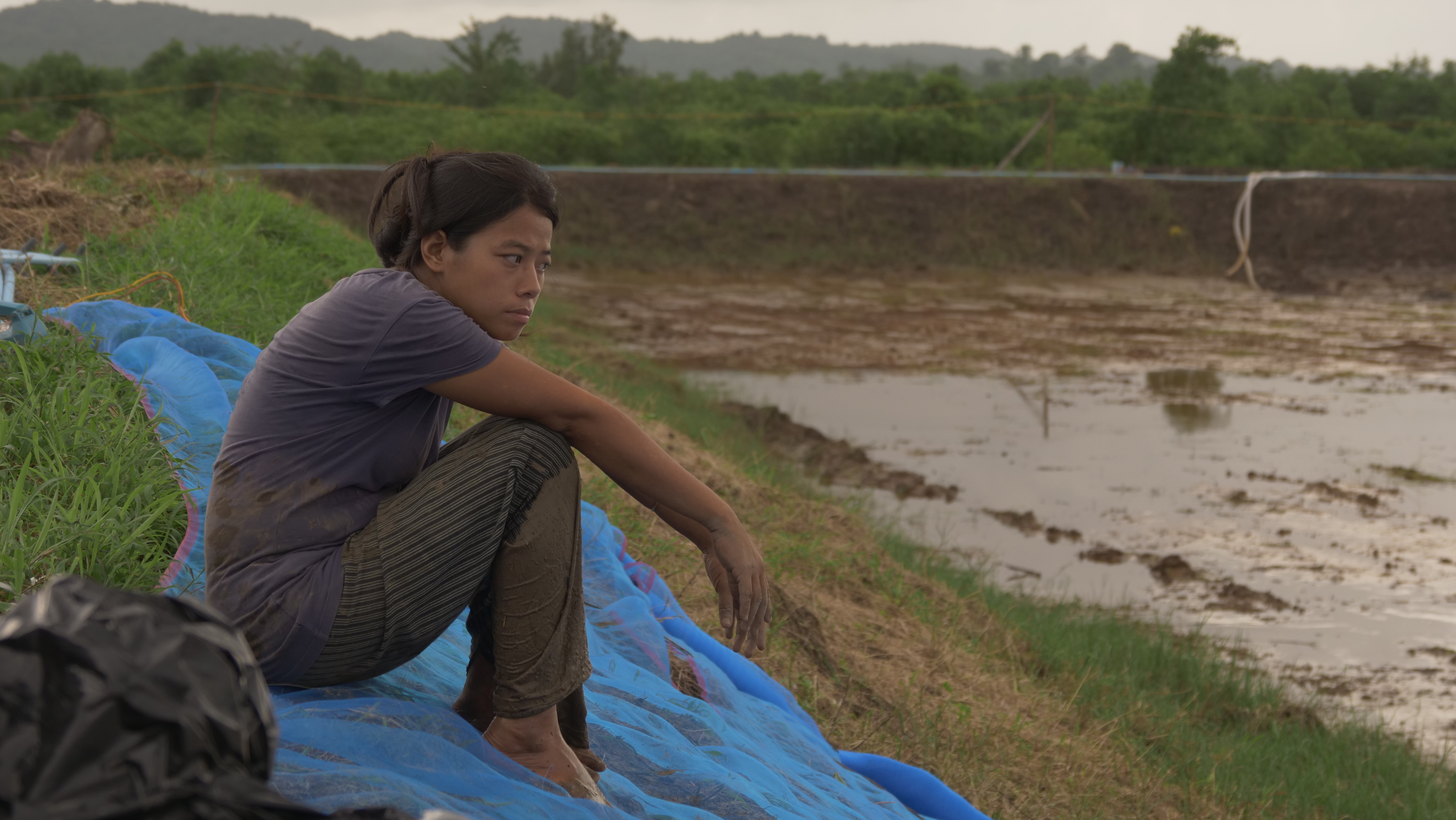 鑽石水族世界 Diamond Marine World