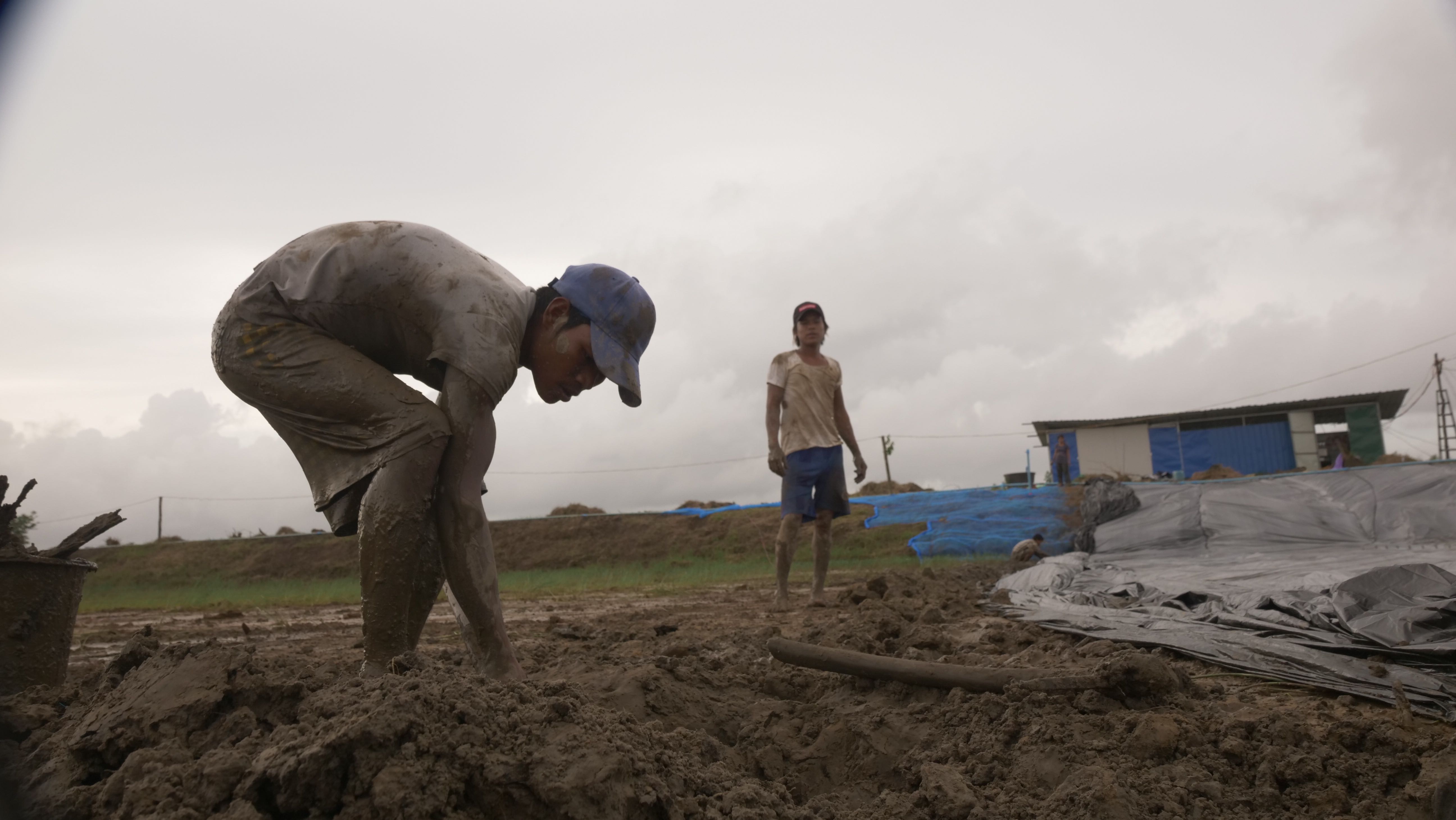 鑽石水族世界 Diamond Marine World