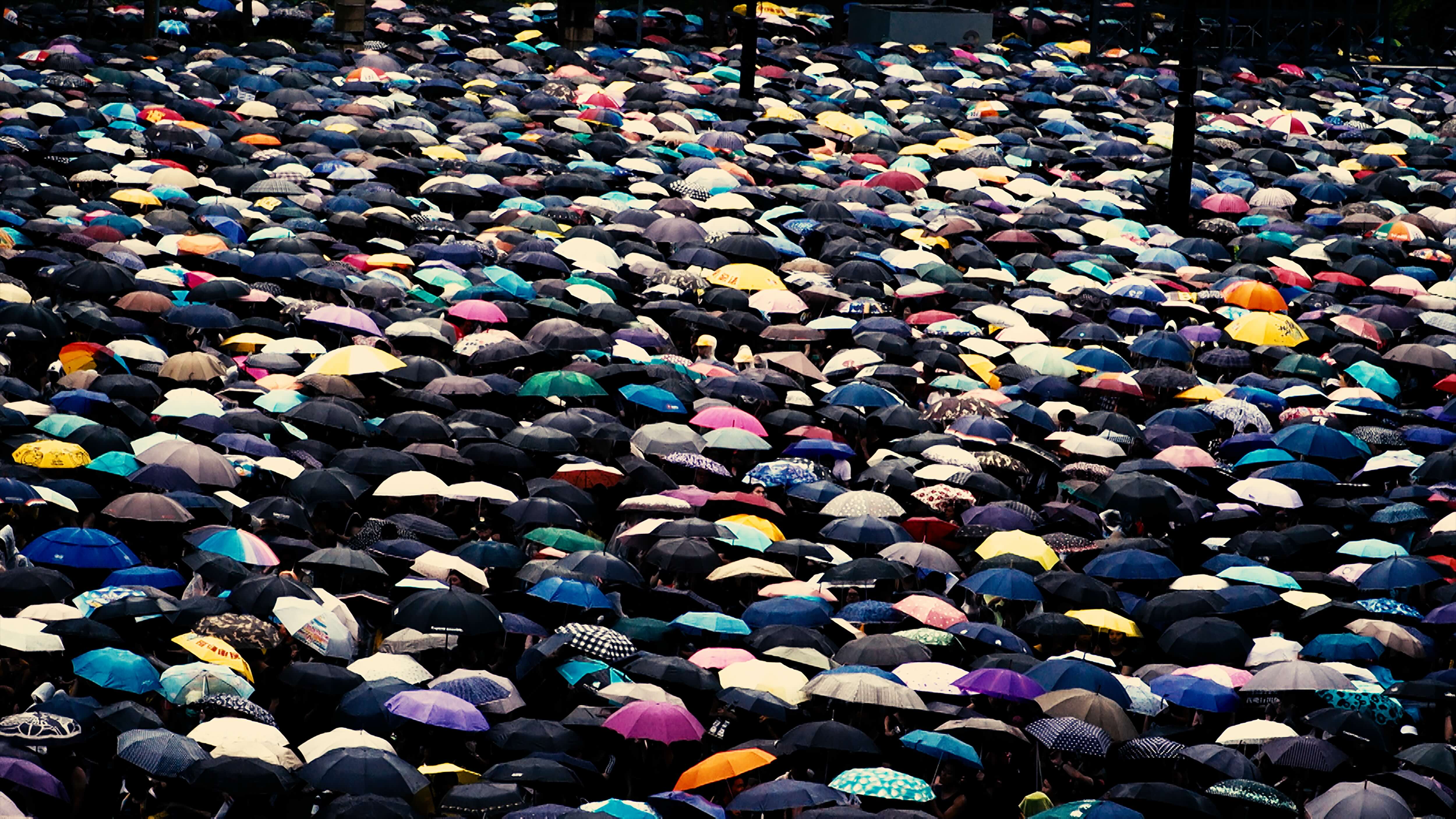 寧化飛灰 Rather Be Ashes Than Dust