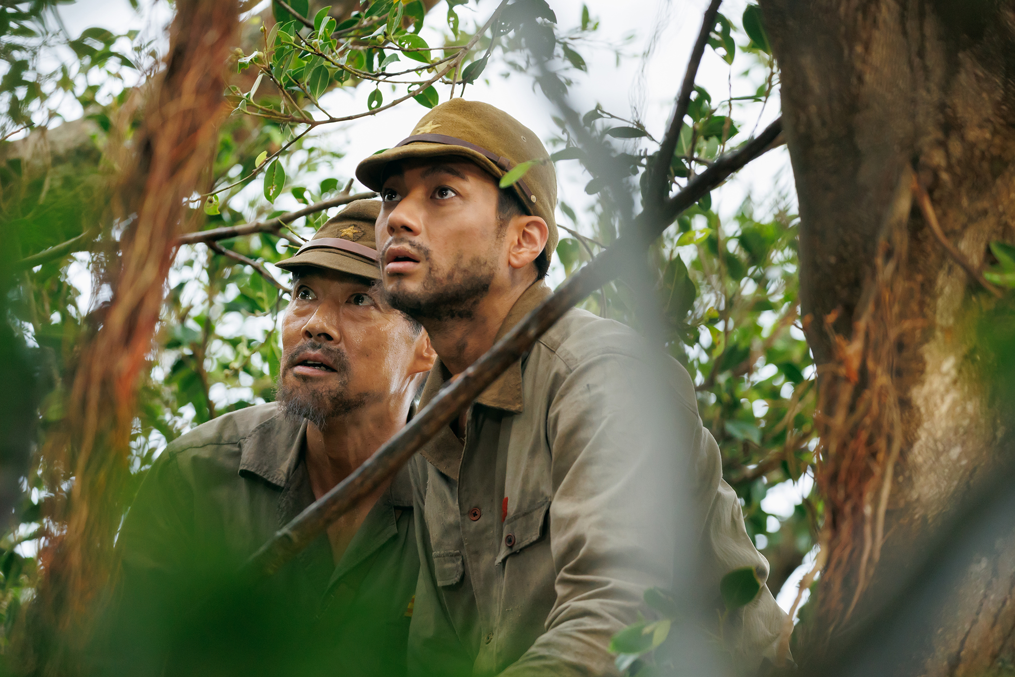 樹叢中的軍隊 Army on the Tree