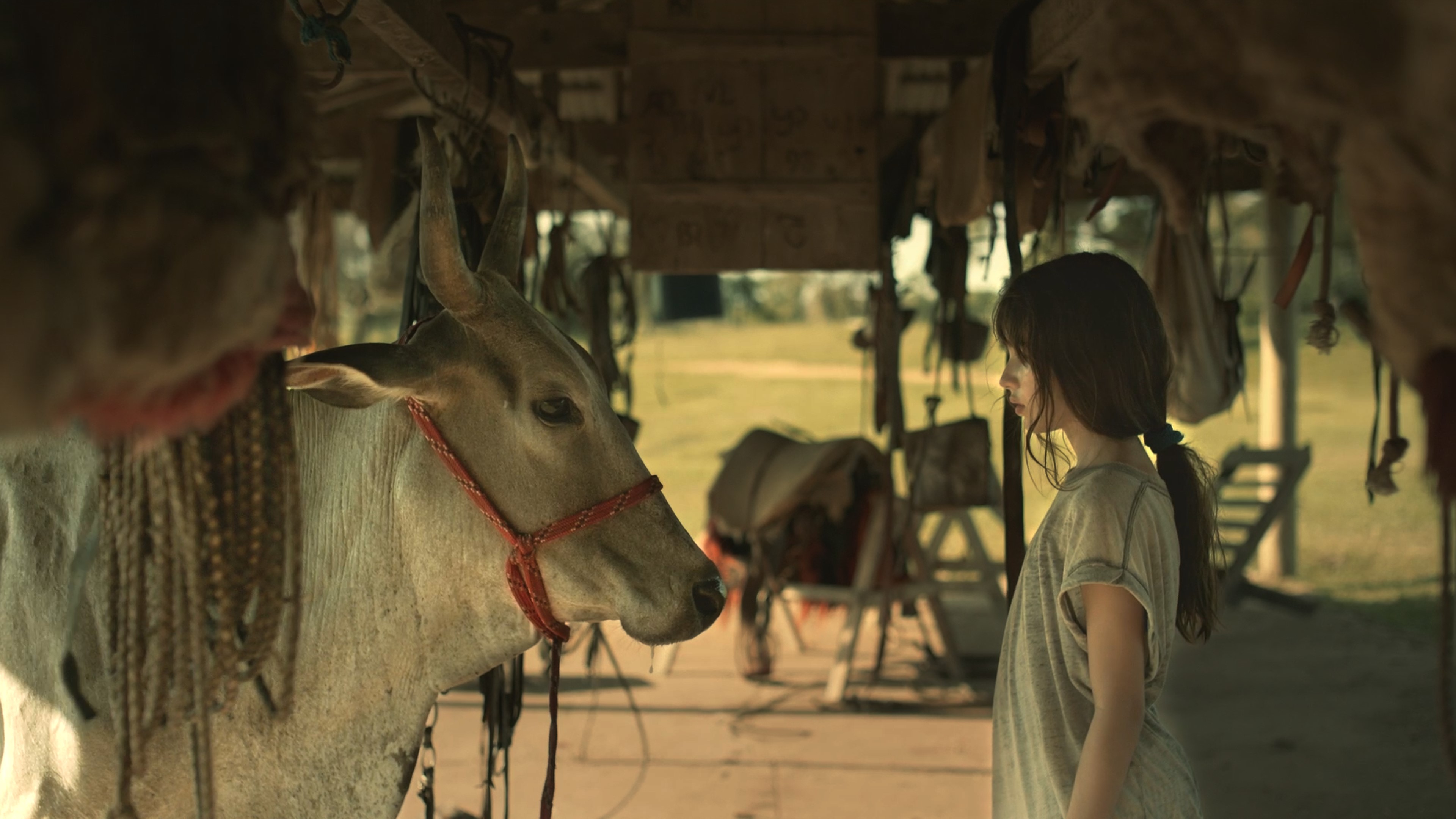 雄影國際短片競賽:國際組E KFF International Short Film Competition: International Shorts E