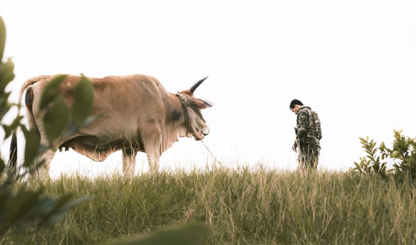 雄影國際短片競賽:臺灣組D  KFF International Short Film Competition: Taiwan Shorts D