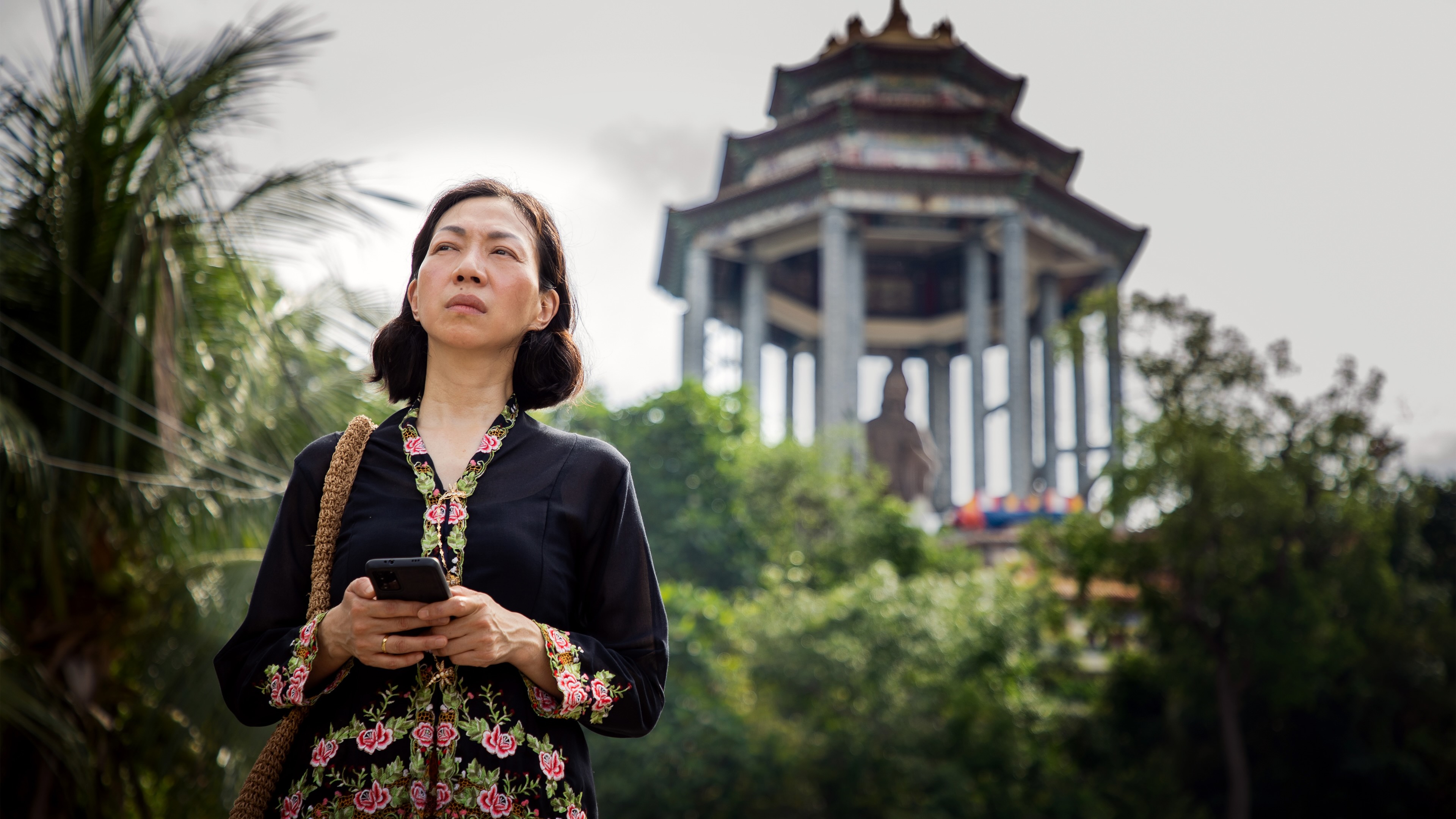 五月雪 Snow in Midsummer