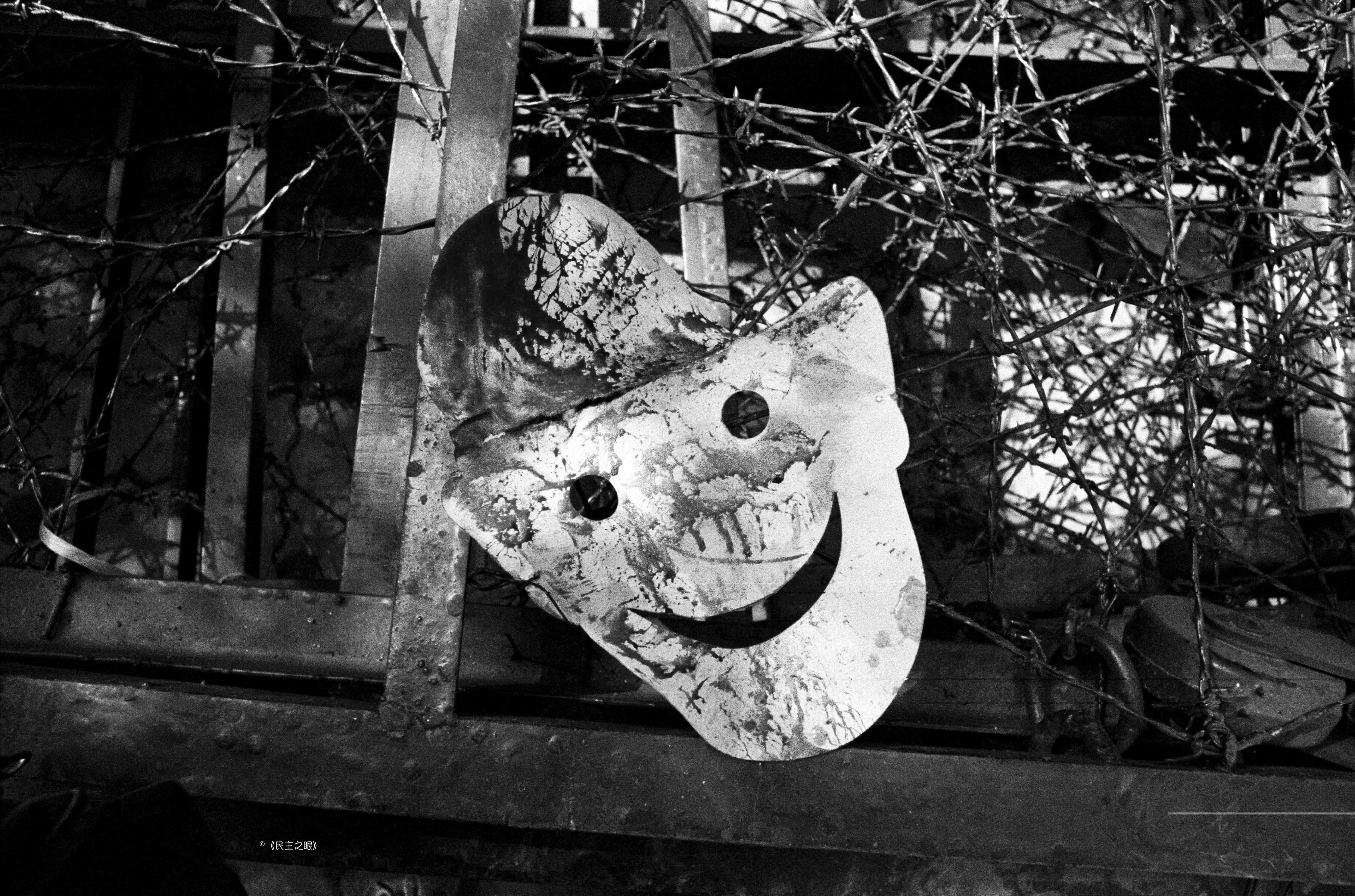 民主之眼 Eyes On Democracy