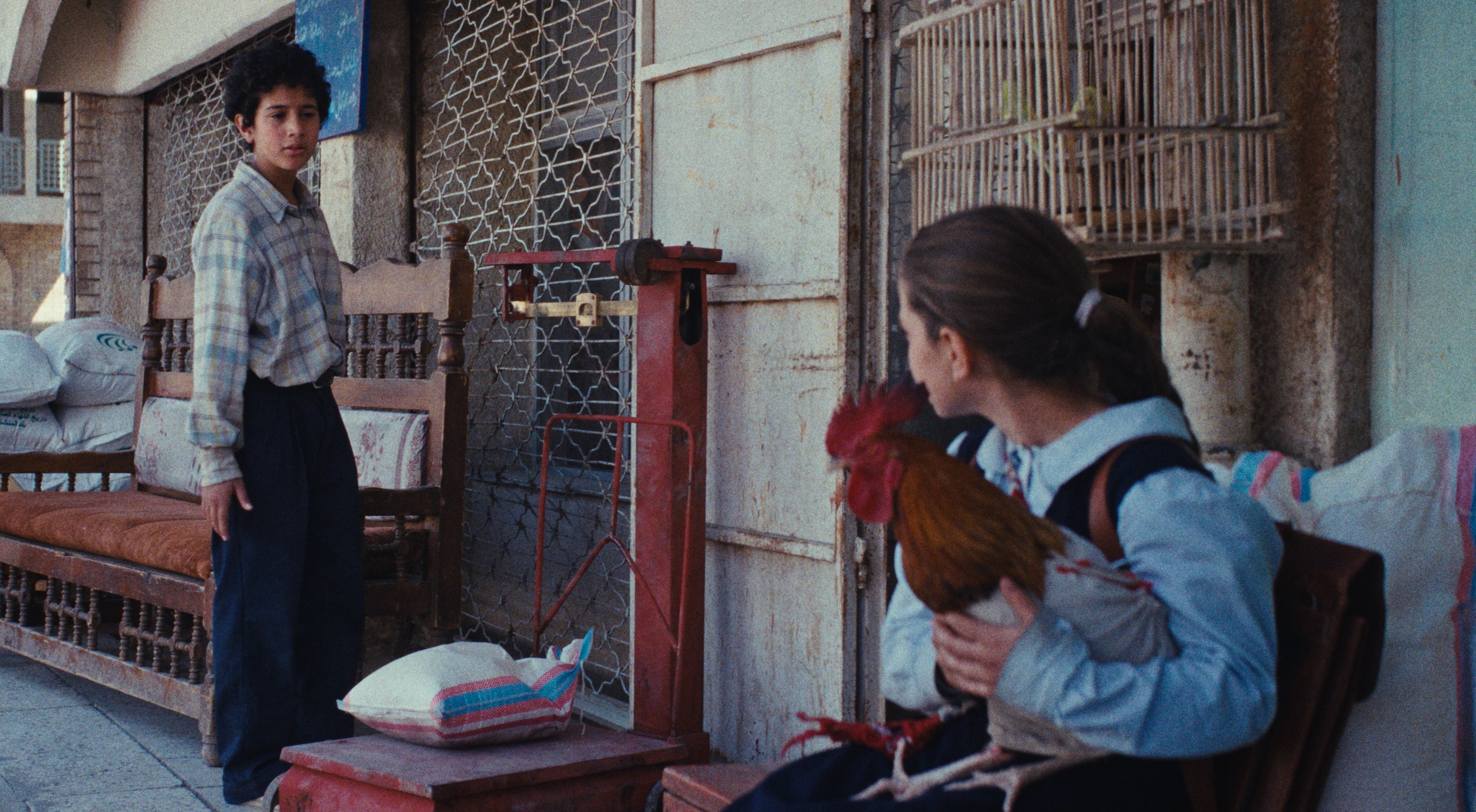 總統的蛋糕 The President's Cake