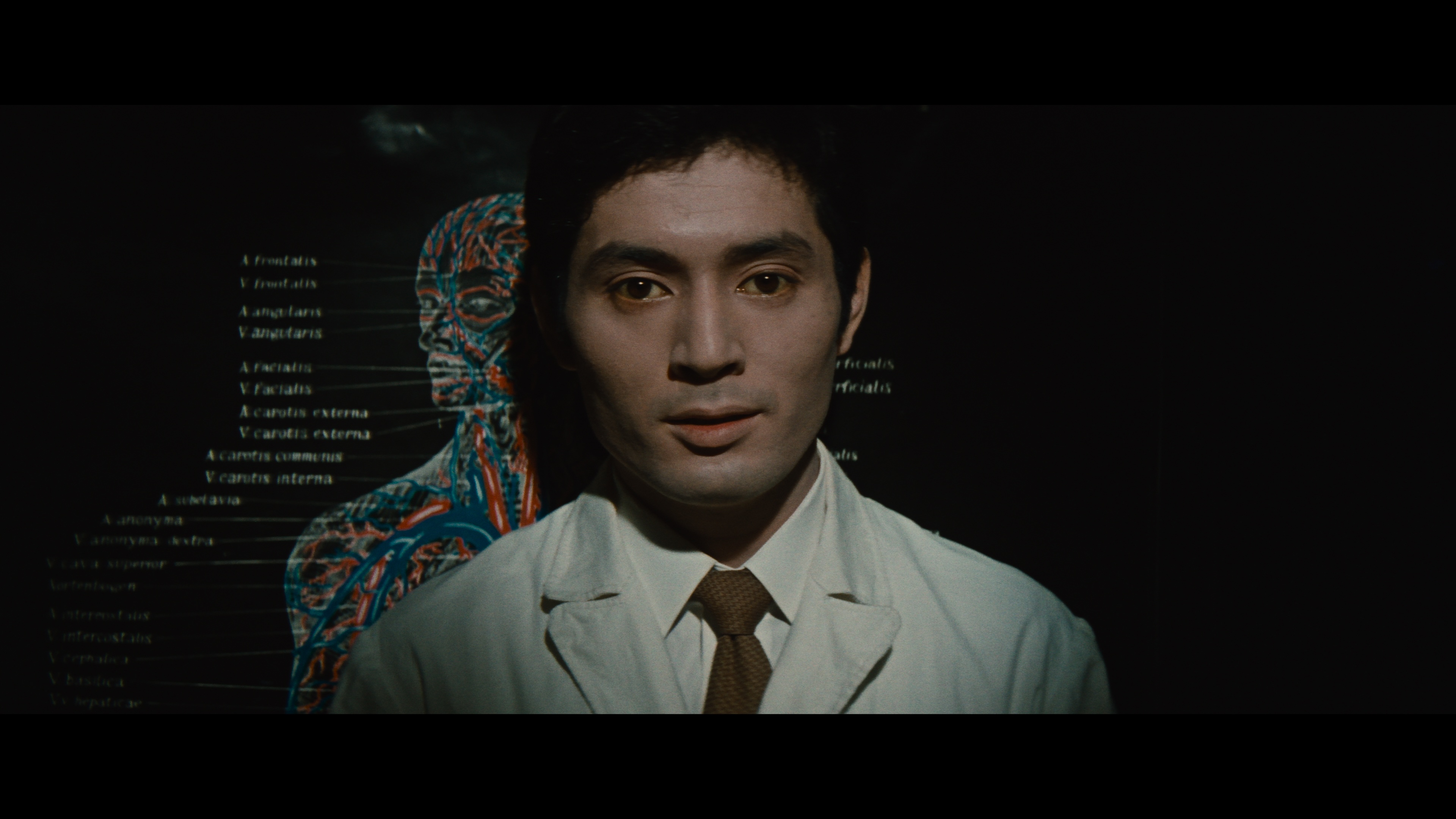 鍵 4K修復 Odd Obsession 4K Restoration