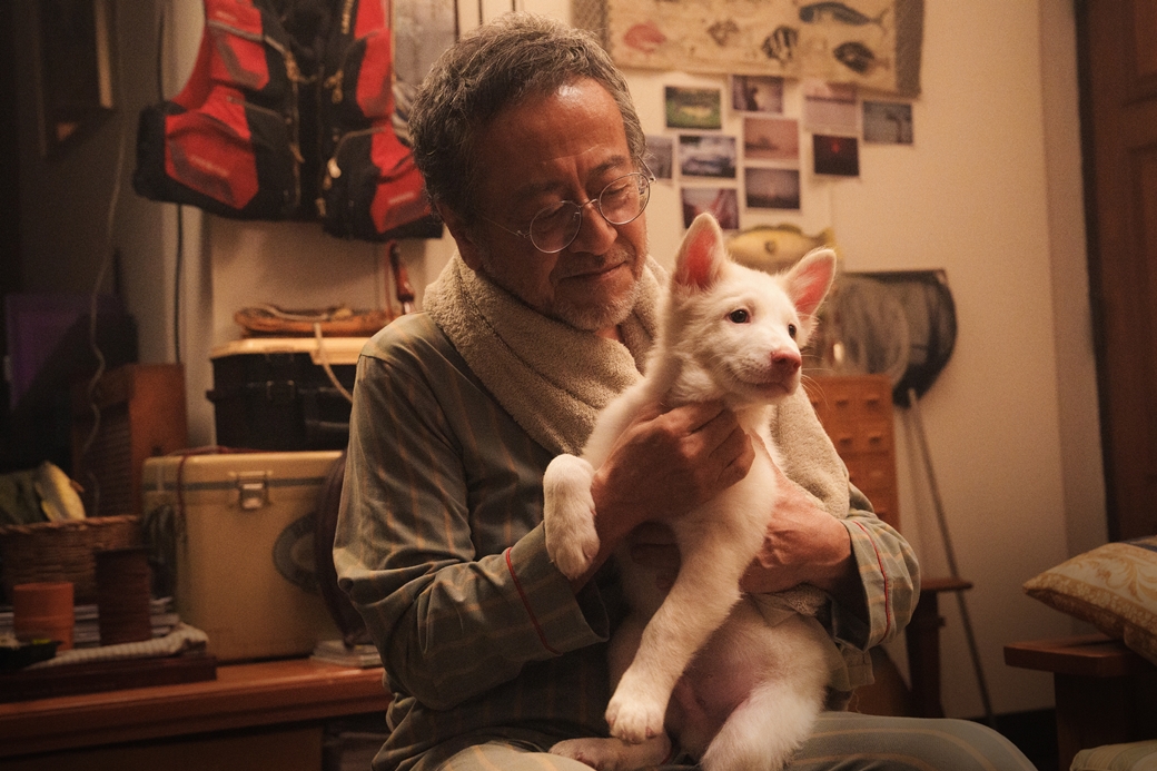 伴我一生，感謝你 Gohan