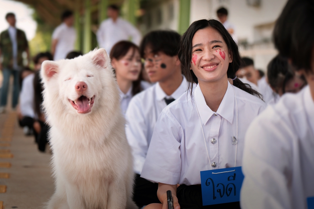 伴我一生，感謝你 Gohan