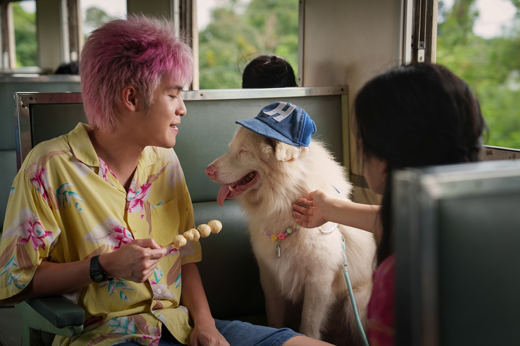 伴我一生，感謝你 Gohan