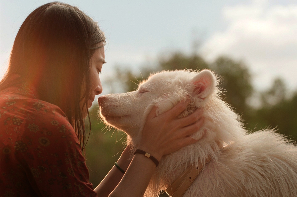 伴我一生，感謝你 Gohan