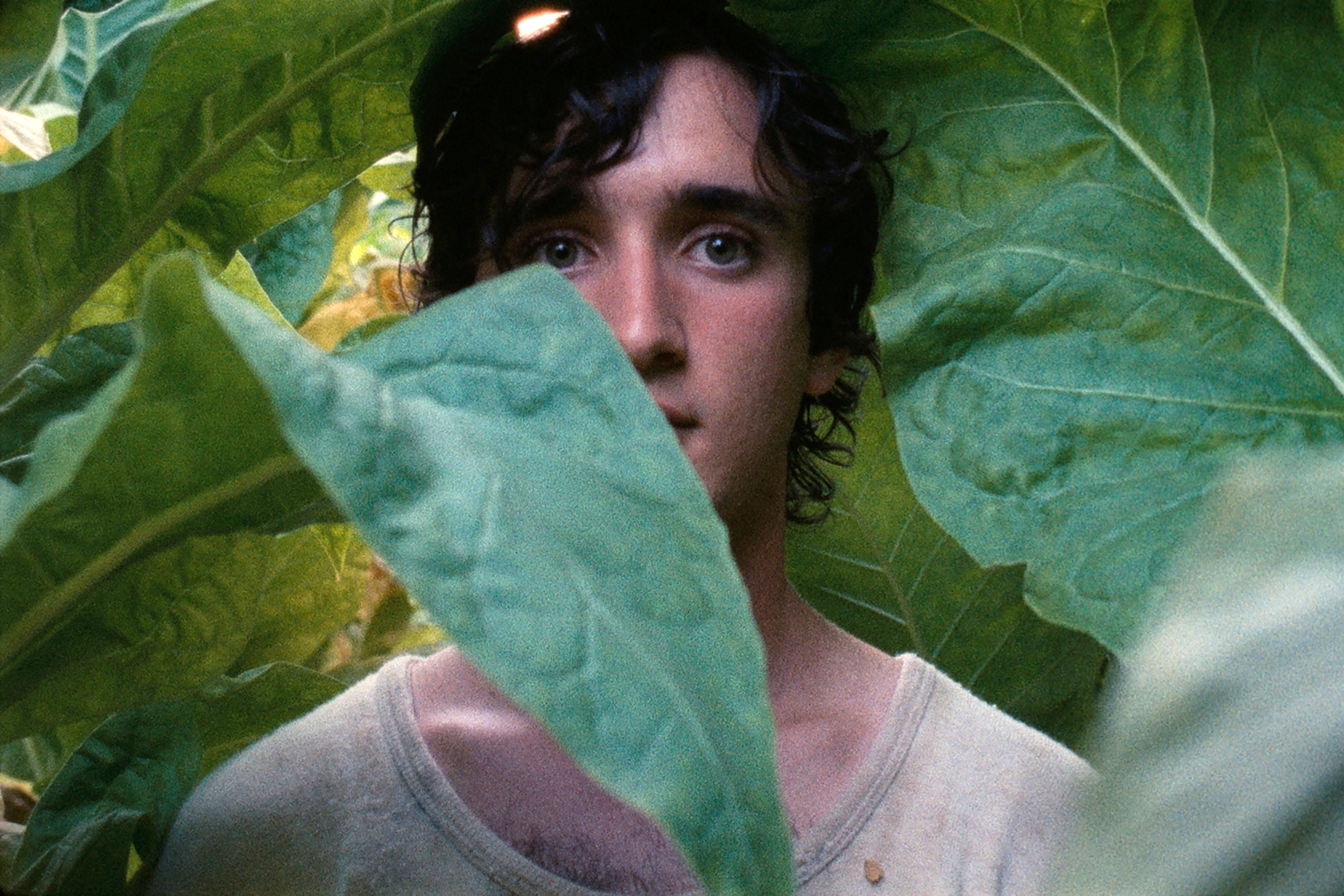 幸福的拉札洛 Happy as Lazzaro