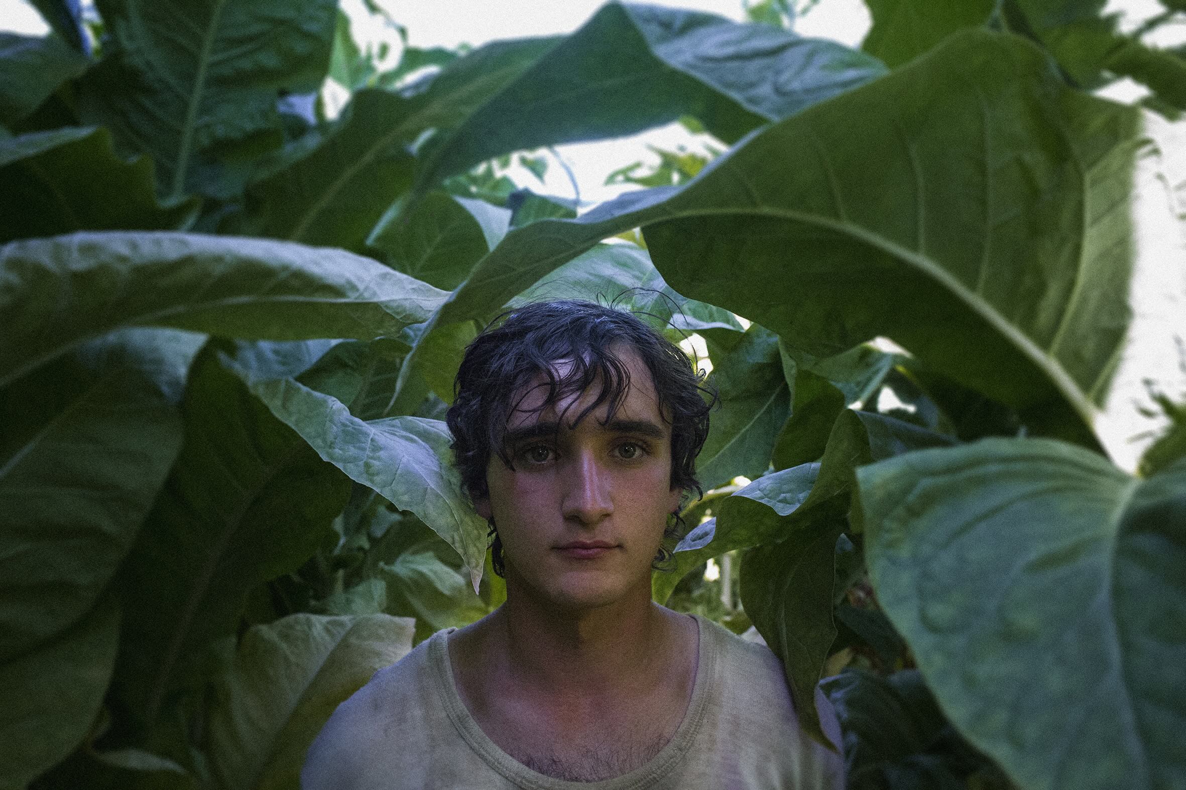 幸福的拉札洛 Happy as Lazzaro
